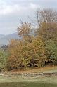 pieniny-0004